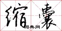 缩囊怎么写好看