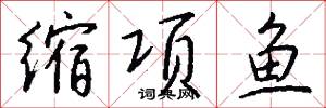 缩项鱼怎么写好看