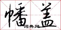 幡盖怎么写好看