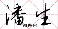 潘生怎么写好看