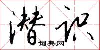 潜识怎么写好看