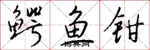 鳄鱼钳怎么写好看