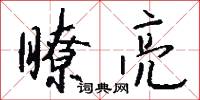 瞭亮怎么写好看