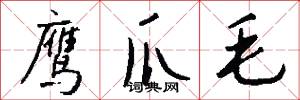 鹰爪毛怎么写好看