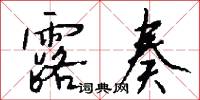 露奏怎么写好看