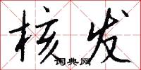核发怎么写好看