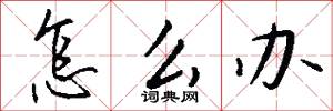怎么办怎么写好看