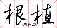 根植怎么写好看