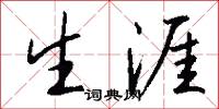 生涯怎么写好看