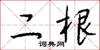 二根怎么写好看