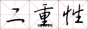 二重性怎么写好看