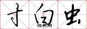 寸白虫怎么写好看