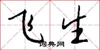 飞生怎么写好看