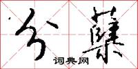 分蘖怎么写好看
