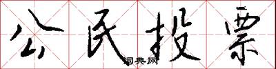 公民投票怎么写好看