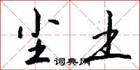 尘土怎么写好看
