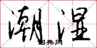 潮湿怎么写好看