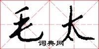 毛太怎么写好看