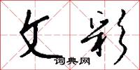 文彩怎么写好看