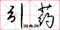 引药怎么写好看