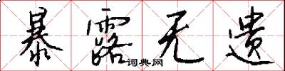 暴露无遗怎么写好看