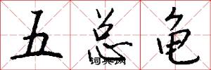 五总龟怎么写好看