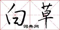 白草怎么写好看