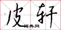 皮轩怎么写好看