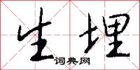 生埋怎么写好看