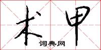 术甲怎么写好看