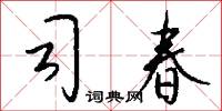司春怎么写好看