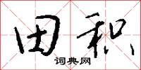 田积怎么写好看