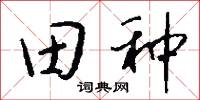 田种怎么写好看