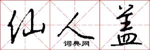 仙人盖怎么写好看