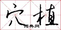 穴植怎么写好看