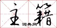 主籍怎么写好看