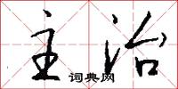 主治怎么写好看