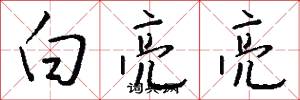 白亮亮怎么写好看