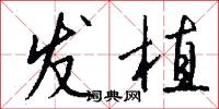 发植怎么写好看