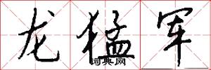 龙猛军怎么写好看