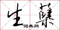 生蘖怎么写好看