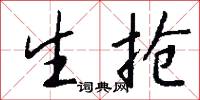生抢怎么写好看