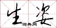 生姿怎么写好看