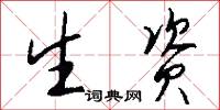 生资怎么写好看