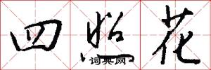 四照花怎么写好看