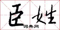 臣姓怎么写好看