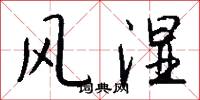 风湿怎么写好看