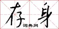 存身怎么写好看