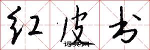 红皮书怎么写好看