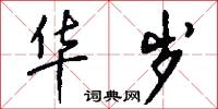 华岁怎么写好看